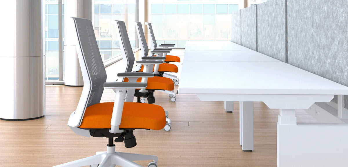 bodi_hero_2 - OEC Business Interiors